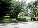 蓮池公園(公園)まで330m ベルヴュー