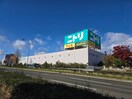 ニトリ(デパート)まで700m シャーメゾンTORU