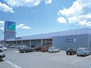 ヤマザワ中田店(スーパー)まで600m トゥインクル土手内Ｂ