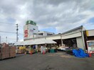 ミラックマツヤ(スーパー)まで650m メリディアン多賀城笠神壱番館