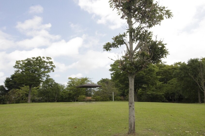 中田中央公園(公園)まで1475m プラーノ杜