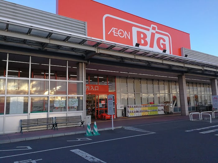 ザ･ビッグ 矢本店(スーパー)まで700m サンフォレストⅡ