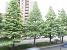 室内からの展望 ＭＩＫビル春日町
