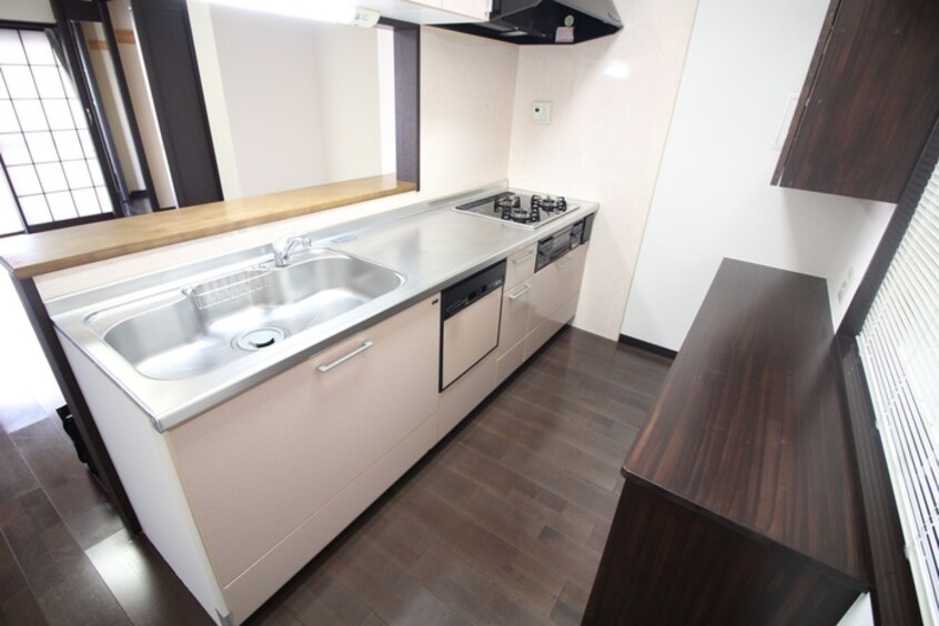 キッチン チサンマンション支倉(306)