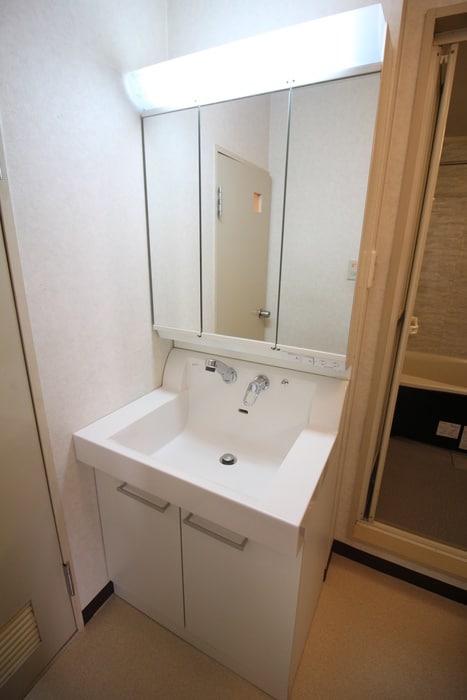 洗面 チサンマンション支倉(306)