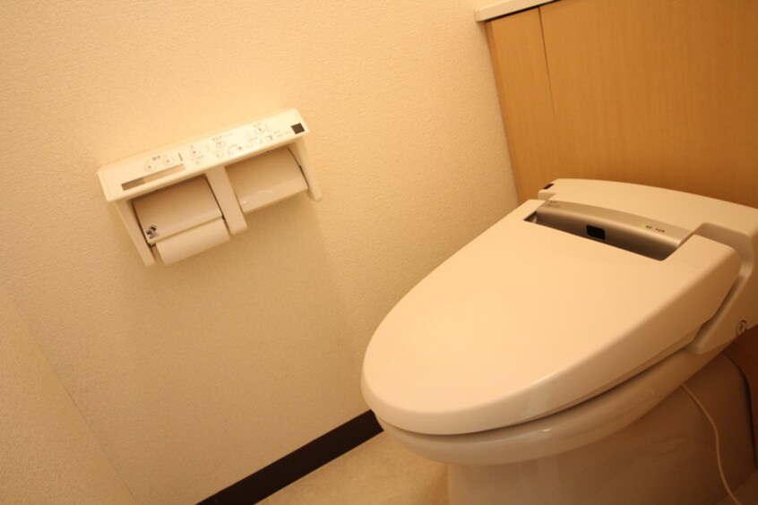 トイレ チサンマンション支倉(306)