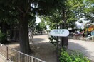 白萩公園(公園)まで20m 仙台白萩マンション