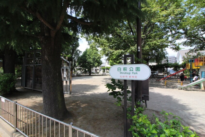 白萩公園(公園)まで20m 仙台白萩マンション