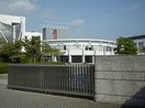 宮城県宮城野高等学校(高等学校/高等専門学校)まで400m Horizon Hills 田子南