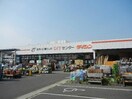 ダイシン　南小泉店(電気量販店/ホームセンター)まで550m アスコット一本杉Ⅰ