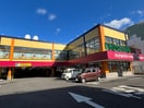 ドラッグストアモリ子平町店(ドラッグストア)まで350m カーサ・デル・ソーレ八幡