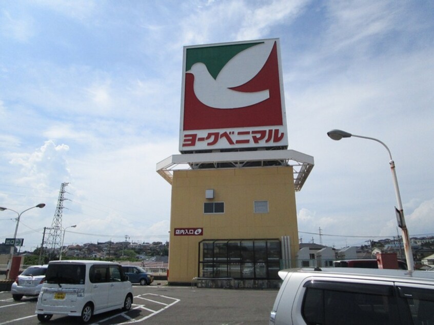 ヨークベニマル 塩釜店(スーパー)まで800m ファミールかんのＢ棟