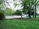 木ノ下公園(公園)まで160m ラルーチェ・K