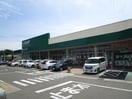 みやぎ生協 塩釜栄町店(スーパー)まで1310m 向ヶ丘住宅