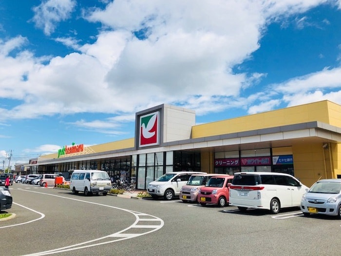 ヨークベニマル 若林店(スーパー)まで750m 橋間様方貸家