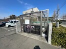 その他 ソフィア