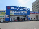 コーナンPRO(電気量販店/ホームセンター)まで606m ソフィア