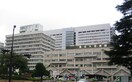 東北大学病院(病院)まで1000m メゾンメープル