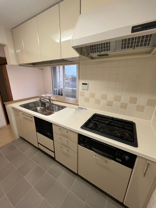 キッチン ﾀﾞｲｱﾊﾟﾚｽｱﾙﾃｨｽﾀ長町公園（303）