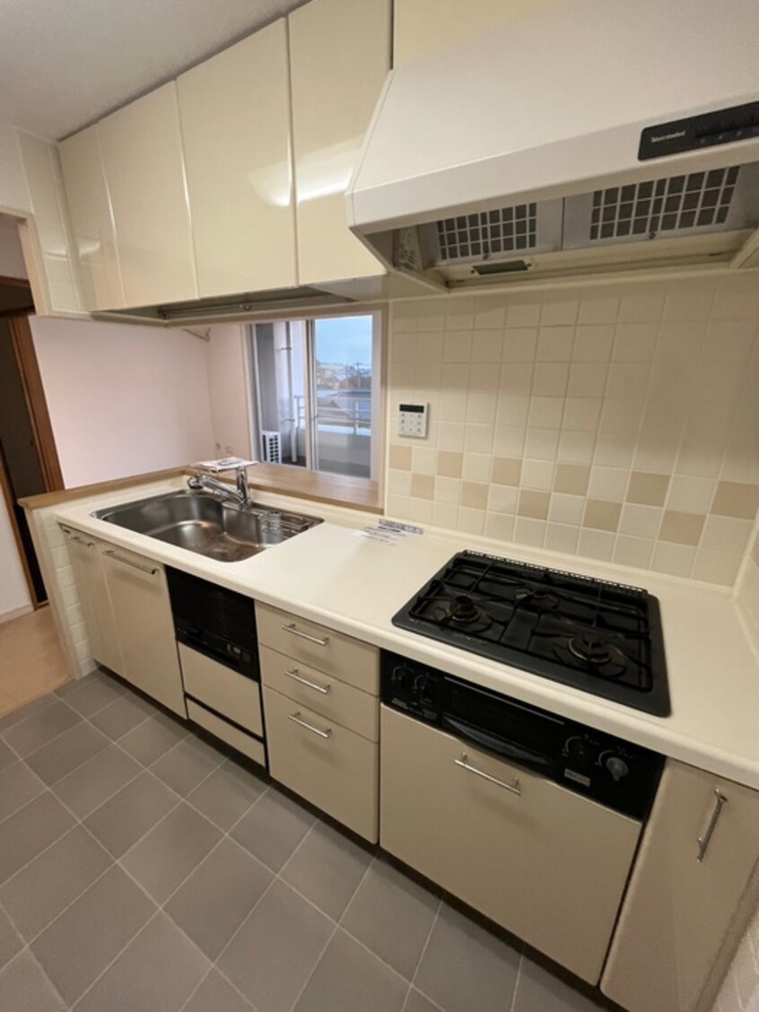 キッチン ﾀﾞｲｱﾊﾟﾚｽｱﾙﾃｨｽﾀ長町公園（303）