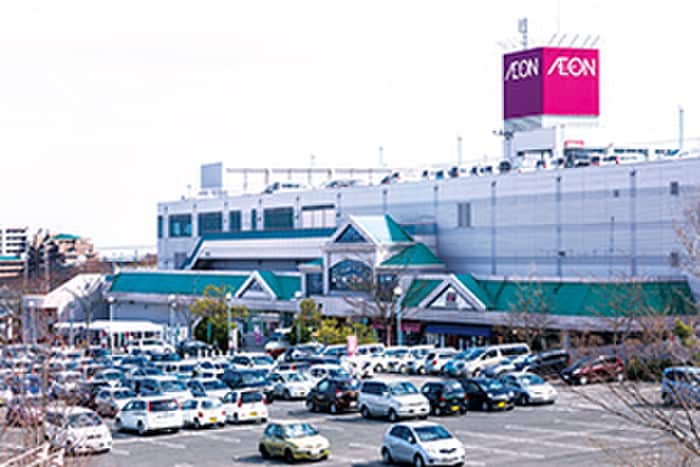 イオン中山店(スーパー)まで1900m ノ－ブルカ－サ川平Ⅱ