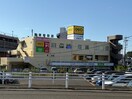ゲオ仙台八乙女店(ビデオ/DVD)まで360m ラフィーノ八乙女