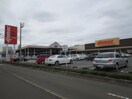 DCMホーマック泉店(電気量販店/ホームセンター)まで1100m フォンターナ八乙女