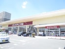 ヨークベニマル新田東店(スーパー)まで290m パルテノン新田東