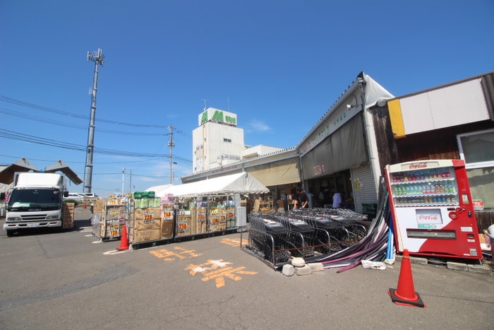 ミラックマツヤ(スーパー)まで1540m ルヴァンス花立