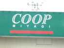 COOP八木山店(スーパー)まで850m シャトレ－Ⅰ青山