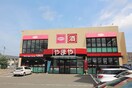 ザ・ダイソー　やまや仙台小田原店(100均)まで342m セントラルシャトル(701)