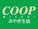 みやぎ生協台原店(スーパー)まで400m シティハイム台原