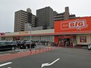 ザ・ビッグエクスプレス　陸前高砂駅前店(スーパー)まで800m ラブリハイツ福田町