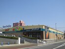 生鮮食品館　仙台原ノ町ピボット(スーパー)まで800m プロミネンス萩野町