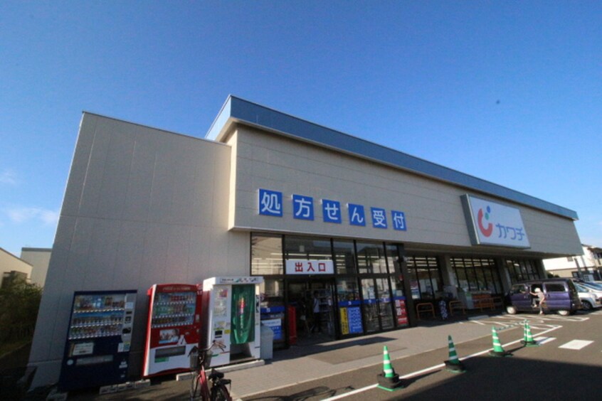 カワチ薬品愛子店(ドラッグストア)まで416m ＷＩＳＨ愛子東