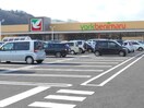 ヨークベニマル　愛子店(スーパー)まで850m エルマ－ノ愛子中央参番館