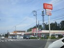 ザ・ビッグ・多賀城鶴ヶ谷店(スーパー)まで3000m サンセ－ル・ヴァ－グ