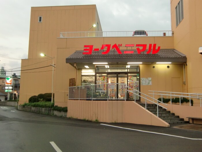 （株）ヨークベニマル 塩釜店(スーパー)まで3100m サンセ－ル・ヴァ－グ