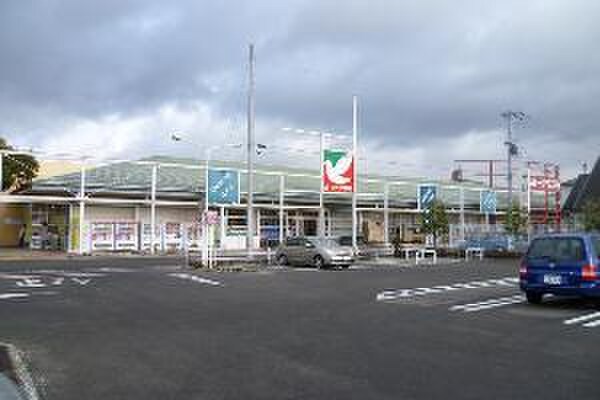 ヨークベニマル(スーパー)まで350m ロイヤルヒルズ柳生Ⅲ