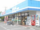 ポピー田子店(ドラッグストア)まで180m コスモライフＢ