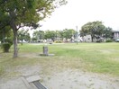 上田子2号公園(公園)まで220m コスモライフＢ
