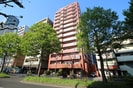 ﾗｲｵﾝｽﾞﾏﾝｼｮﾝ北目町第二(1203)の外観