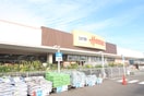 ホーマック(電気量販店/ホームセンター)まで1310m グリーンハーモニー