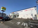 ゲオ仙台長町南店(ビデオ/DVD)まで600m シティ長町南