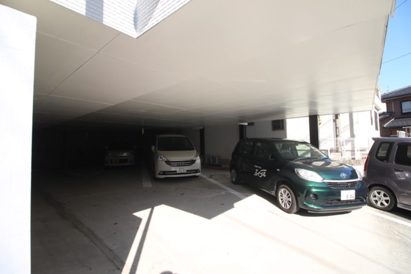 その他 ヘルーダス