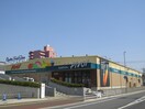 生鮮食品館　原ノ町ピボット(スーパー)まで750m パル・グランドマンション