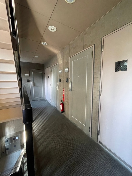 エントランス部分 エルシャフト