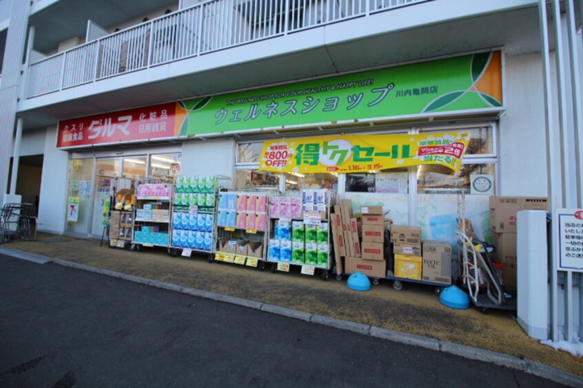 ダルマ薬局　亀岡店(ドラッグストア)まで1000m ティエラ定進堂