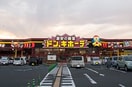 ドン・キホーテ(ディスカウントショップ)まで1100m サンシャインＷ　Ｃ