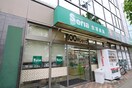 Seria泉中央店(100均)まで300m スクエア泉中央